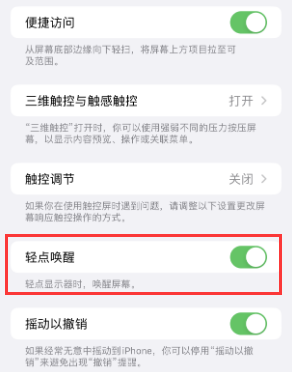 黔南苹果授权维修站分享iPhone轻点无法唤醒怎么办 