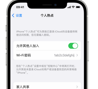 黔南apple服务站点分享iPhone上个人热点丢失了怎么办 