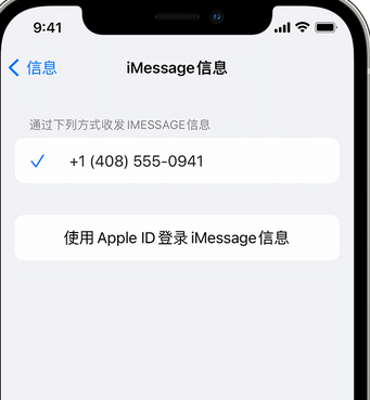 黔南apple维修iPhone上无法正常发送iMessage信息