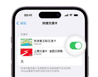 黔南apple维修点分享iPhone上更换Apple Pay快捷交通卡手绘卡面 