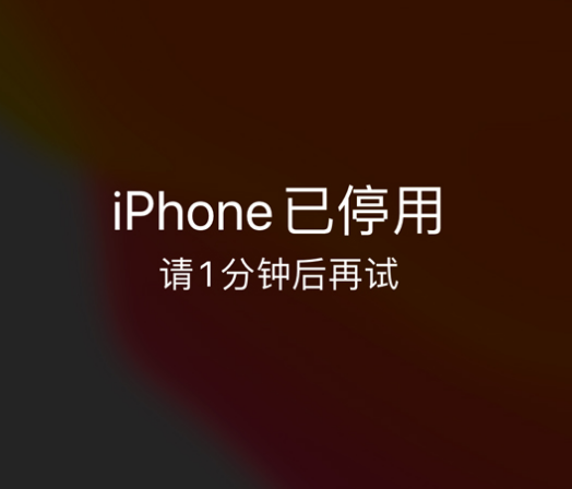 黔南苹果手机维修分享:iPhone 显示“不可用”或“已停用”怎么办？还能保留数据吗？ 