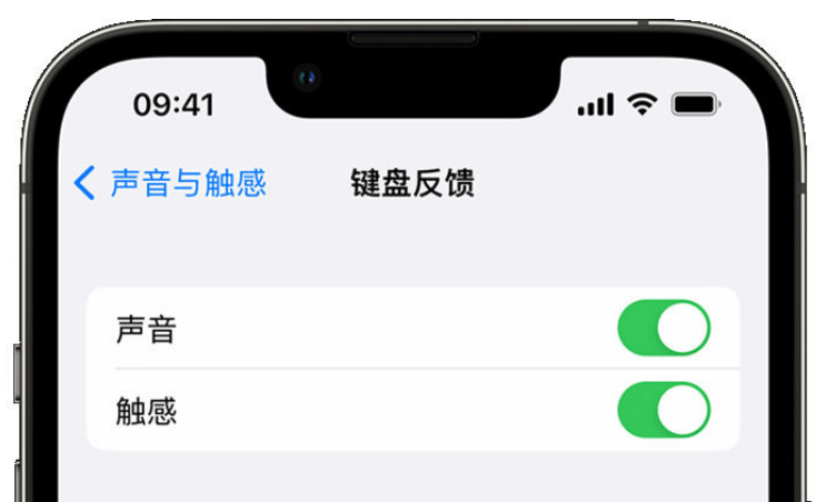 黔南苹果手机维修分享iPhone 14触感键盘使用方法 