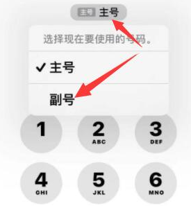 黔南苹果14维修店分享iPhone 14 Pro Max使用副卡打电话的方法 