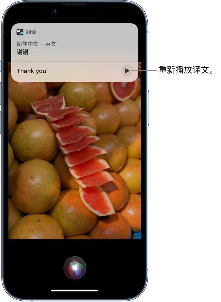 黔南苹果14维修分享 iPhone 14 机型中使用 Siri：了解 Siri 能帮你做什么 