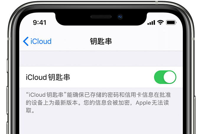 黔南苹果手机维修分享在 iPhone 上开启 iCloud 钥匙串之后会储存哪些信息 