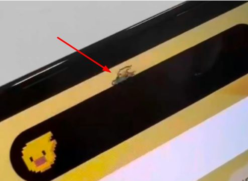 黔南苹果14维修分享iPhone 14 Pro Max灵动岛怎么养宠物 