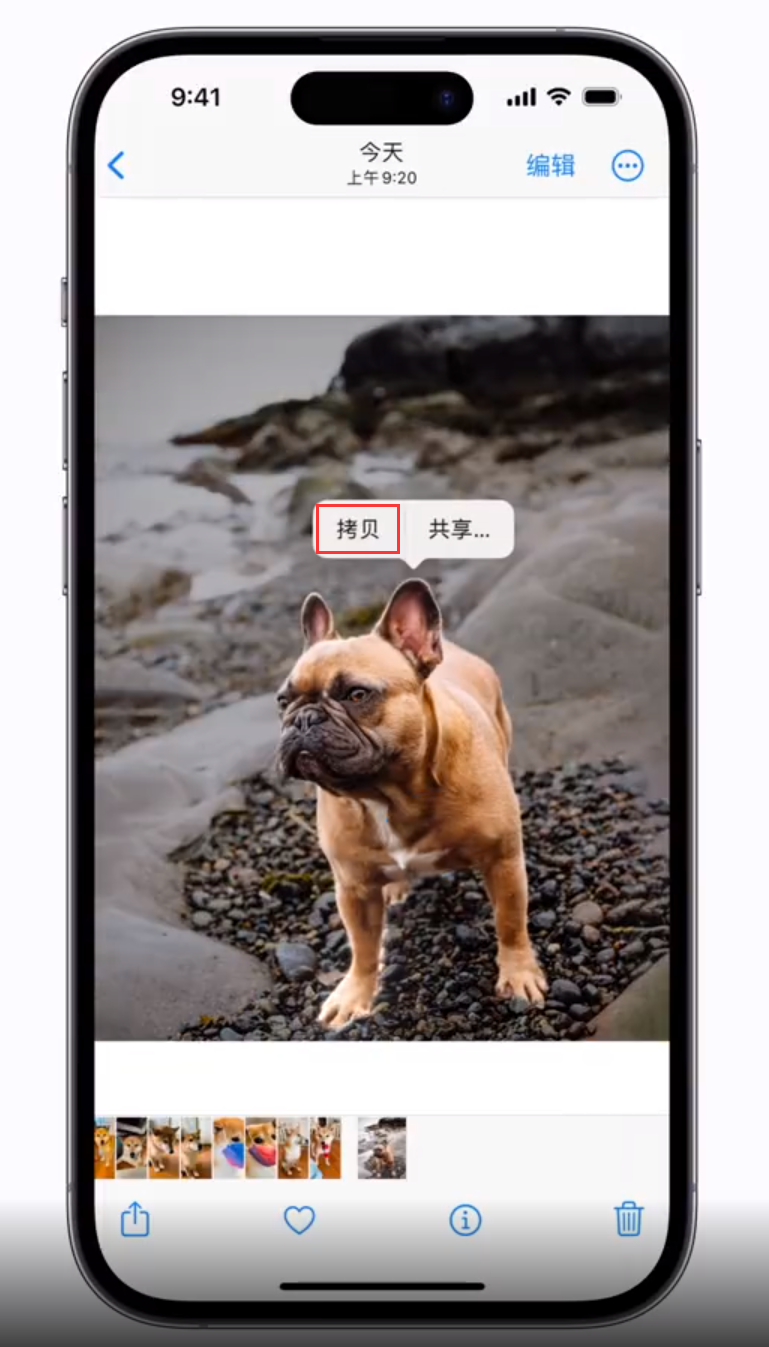 黔南苹果手机维修分享 iOS 16 自带一键抠图功能 