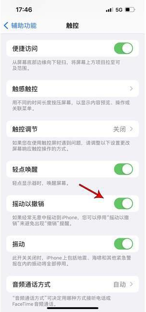 黔南苹果手机维修分享iPhone手机如何设置摇一摇删除文字 