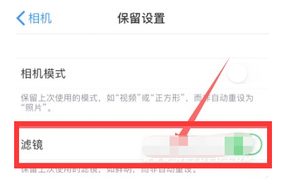 黔南苹果13维修分享iPhone13拍照有绿点是怎么回事 