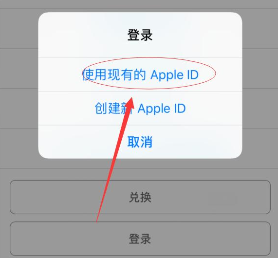 黔南苹果手机维修分享两台iPhone设备可以同时登录一个Apple ID吗 